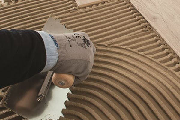 Pegamentos y Carateo